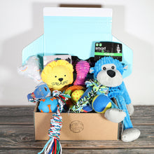 Load image into Gallery viewer, Dog Toy Gift Box
