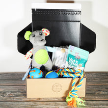 Load image into Gallery viewer, Large Dog Toys &amp; Treats Gift Box
