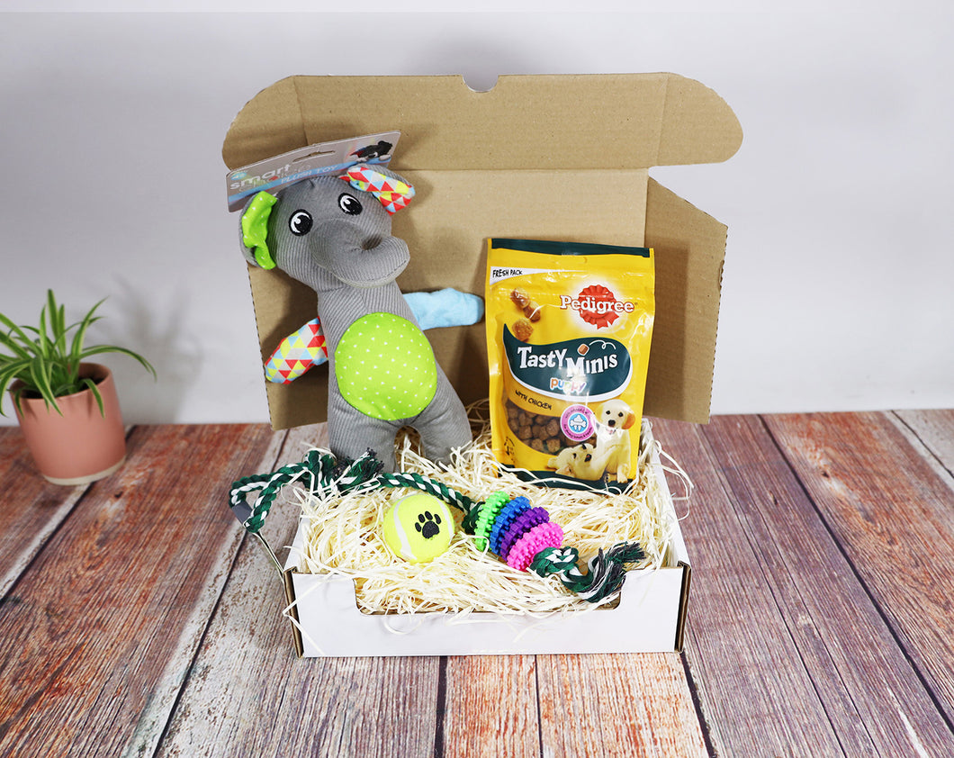 Puppy Toys & Treats Gift Box