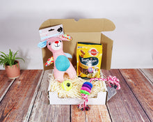 Load image into Gallery viewer, Puppy Toys &amp; Treats Gift Box
