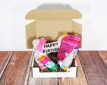 Load image into Gallery viewer, Dog Birthday Gift Box
