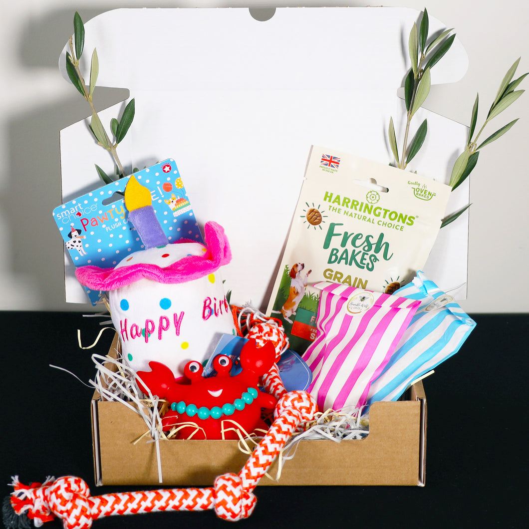 Dog Birthday Gift Box