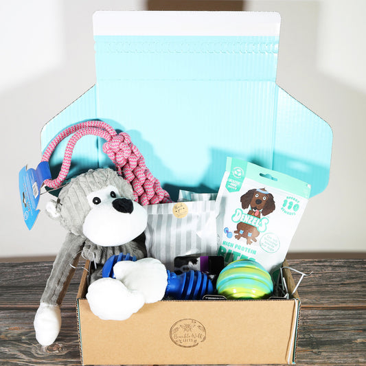 Large Dog Toys & Treats Gift Box