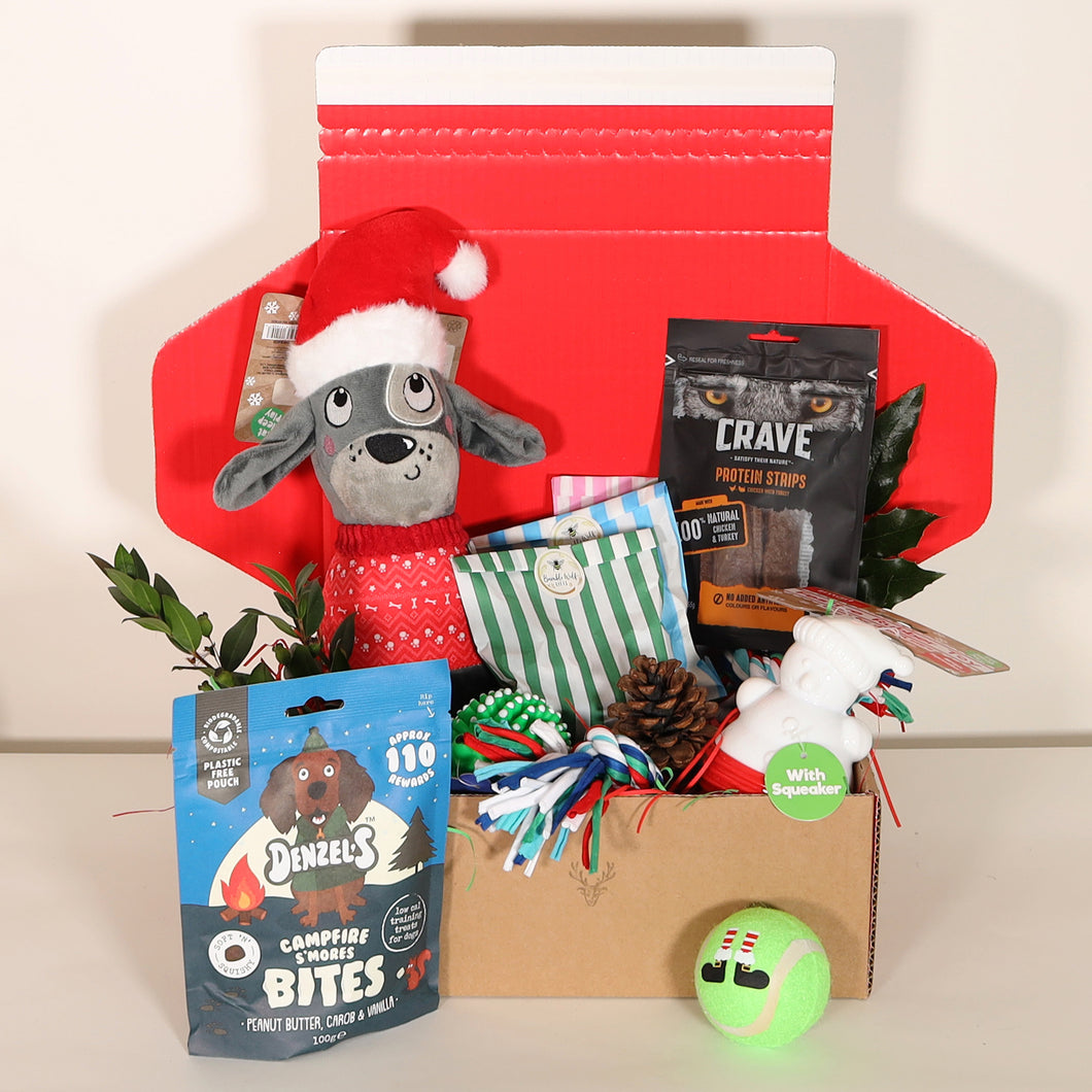 CHRISTMAS Dog Toys & Treats Gift Box (Large)
