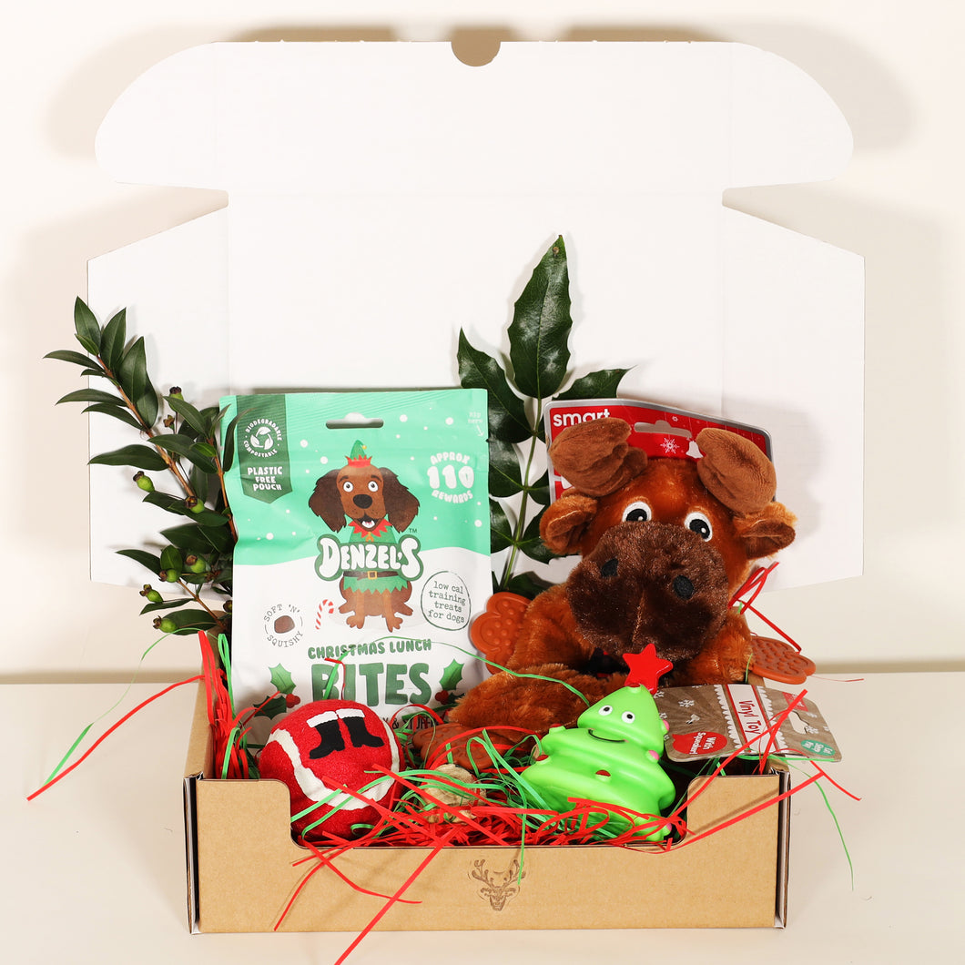 CHRISTMAS Dog Toys & Treats Gift Box (Small)