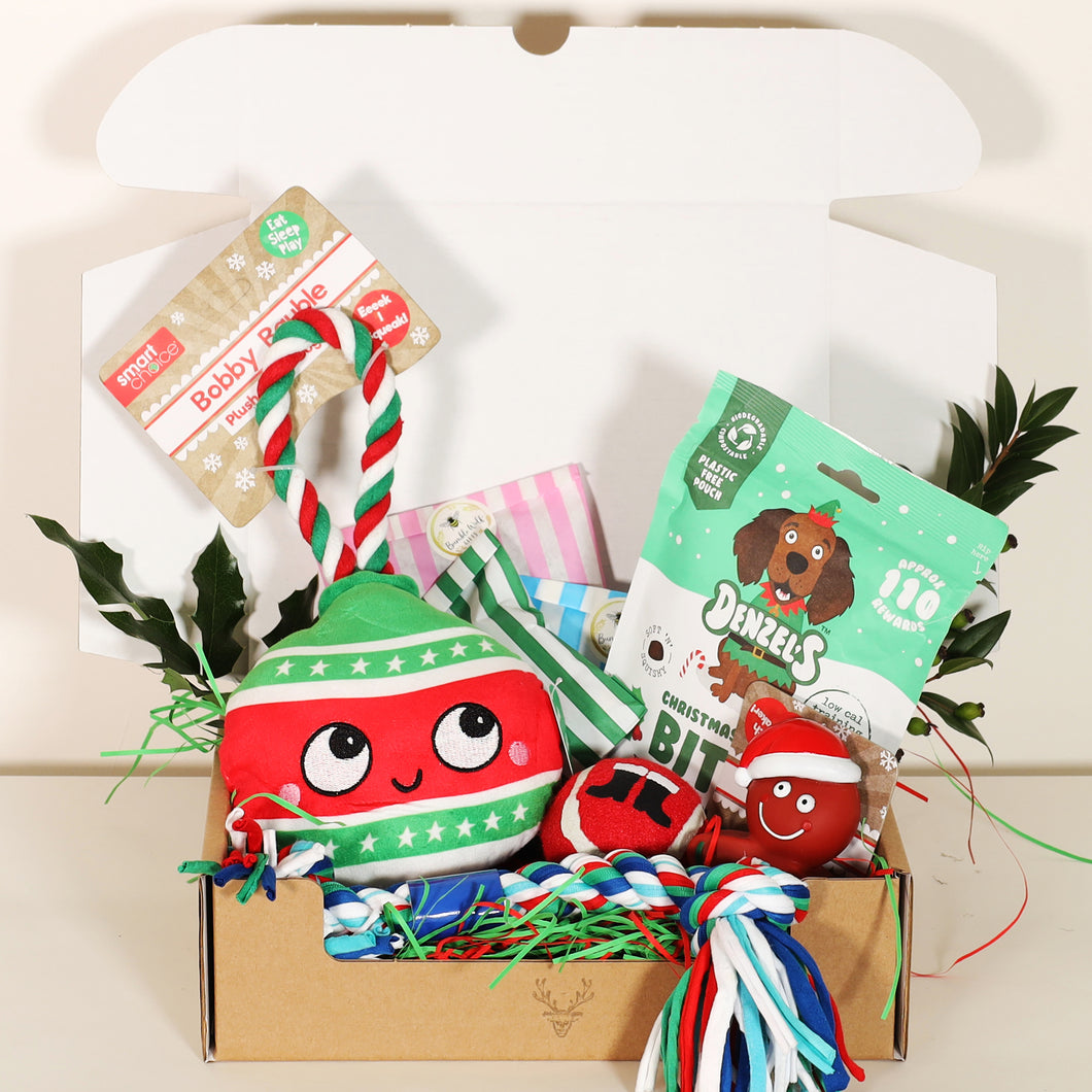 CHRISTMAS Dog Toys & Treats Gift Box (Medium)